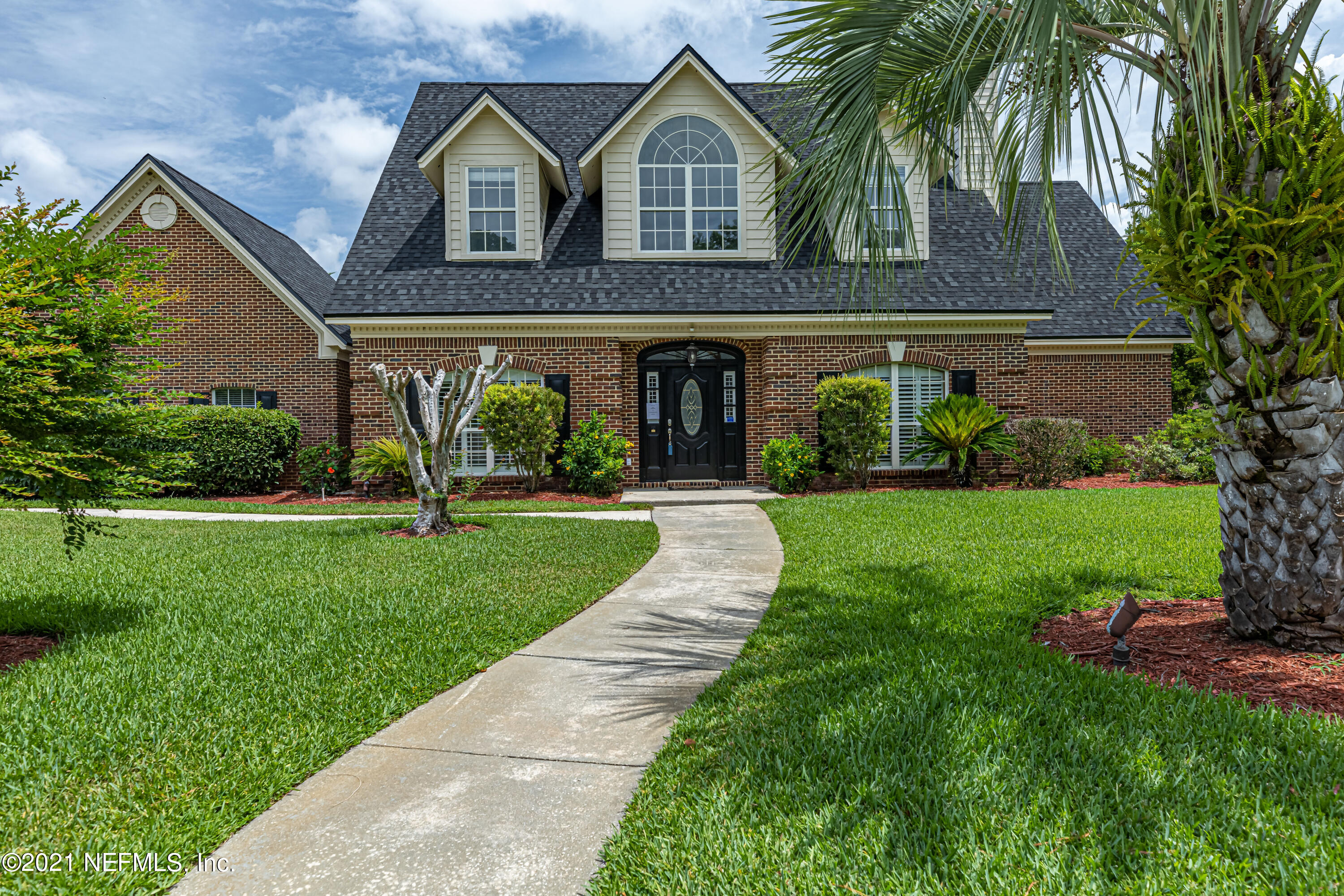 3629 CATTAIL